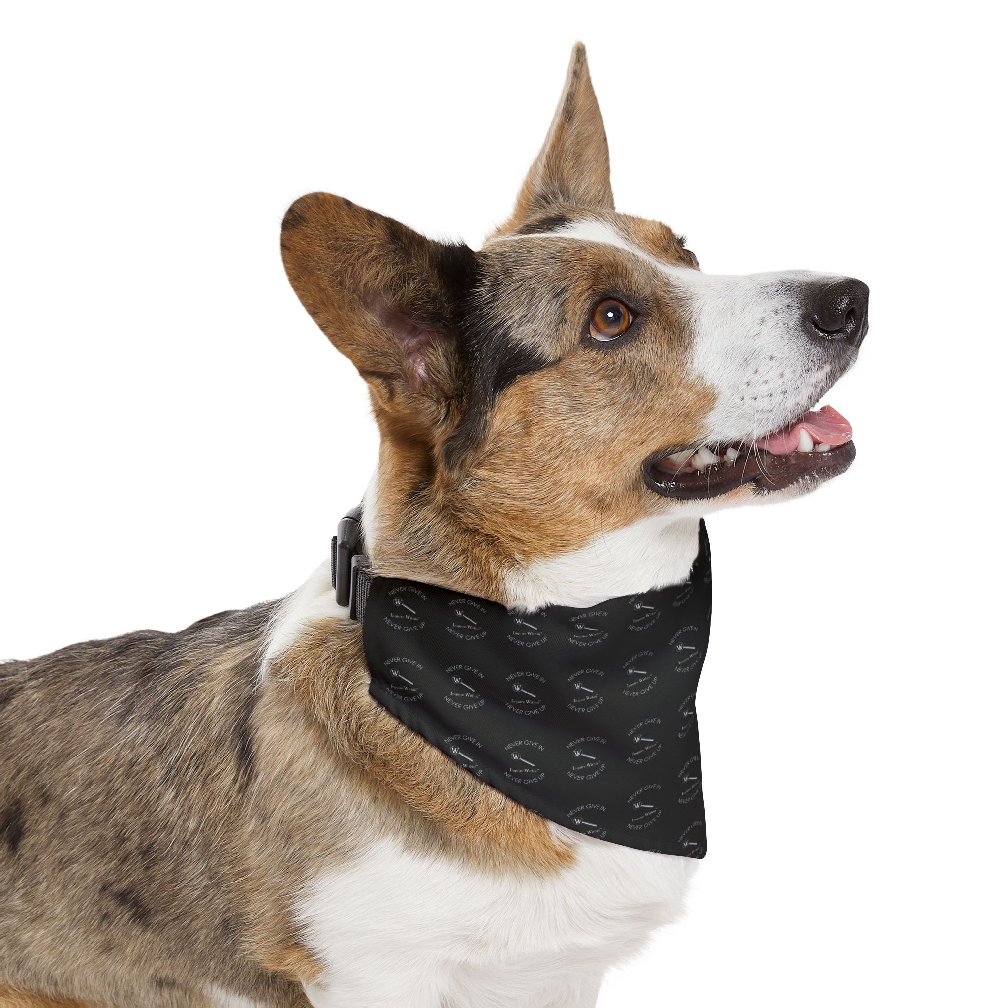 Never Give In Pet Bandana Collar - Fun and Stylish Dog Accessory - Image 8