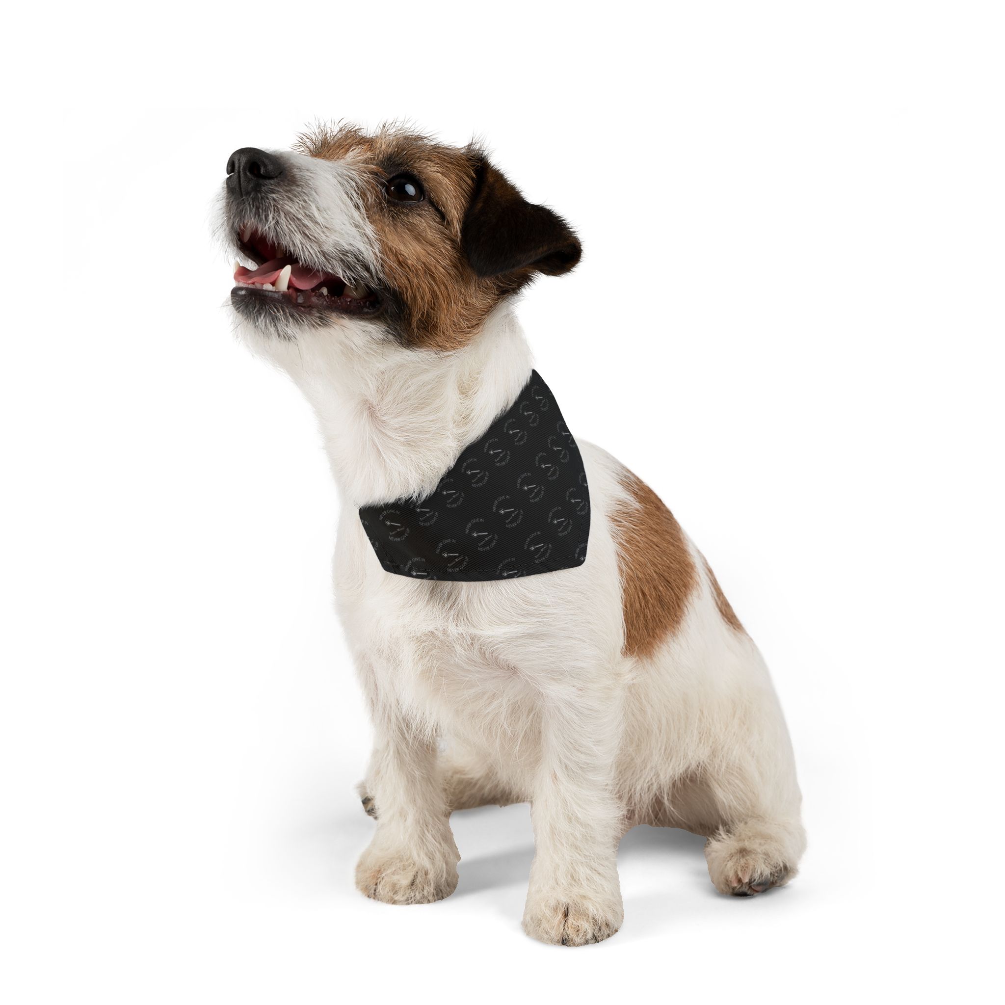 Never Give In Pet Bandana Collar - Fun and Stylish Dog Accessory - Image 4